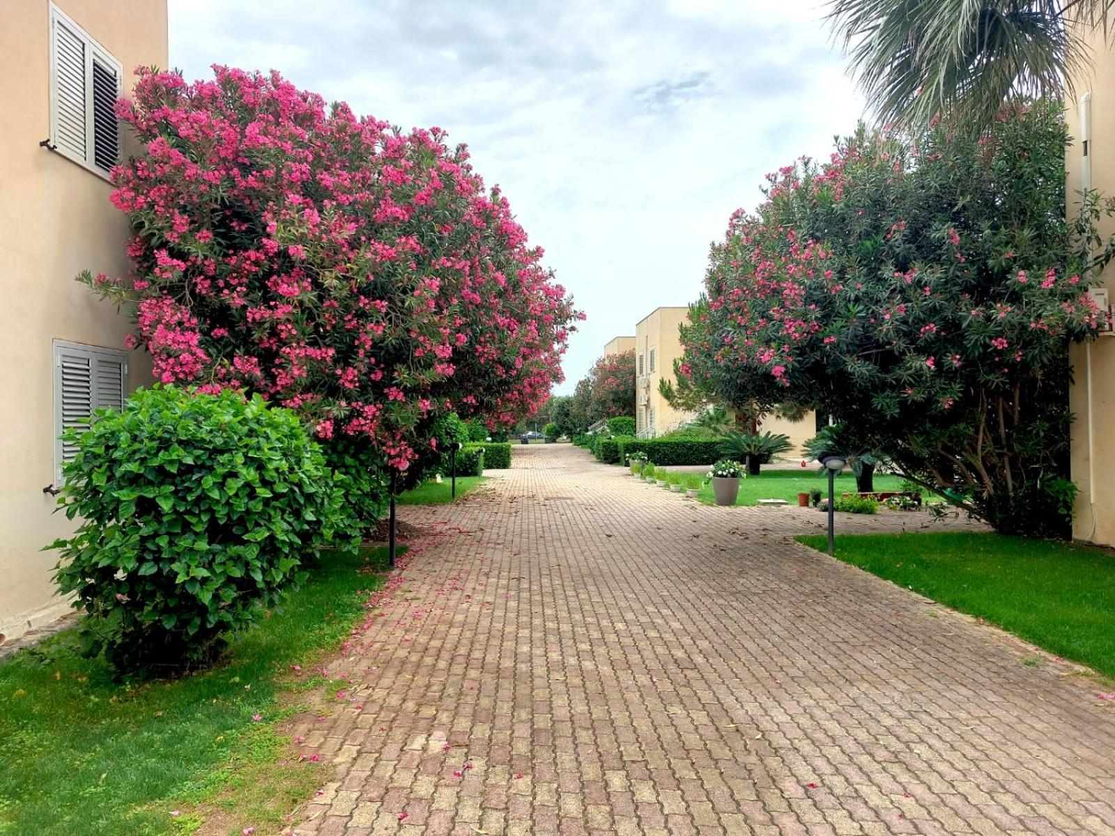Aparthotel Giallomare Marzamemi Exterior foto